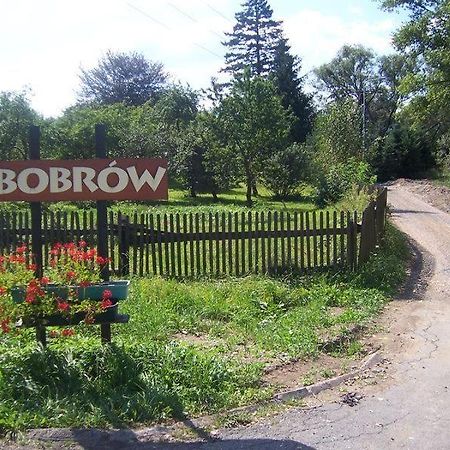 Karpnicka Struga W Dolinie Palacow I Ogrodow 옐레니아구라 외부 사진