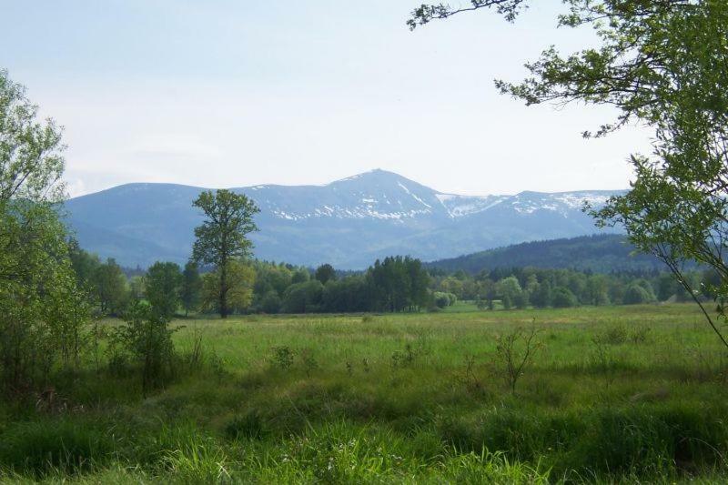 Karpnicka Struga W Dolinie Palacow I Ogrodow 옐레니아구라 외부 사진